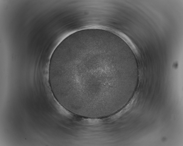 X0000103311244200808291421