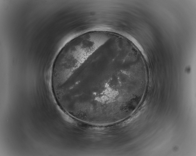 X0000103311245200808291421