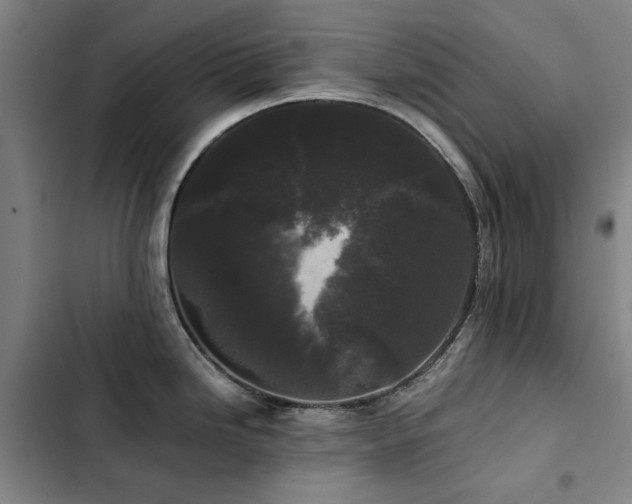 X0000103311246200808291421