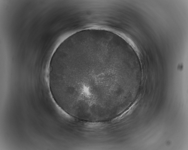 X0000103311247200808291421