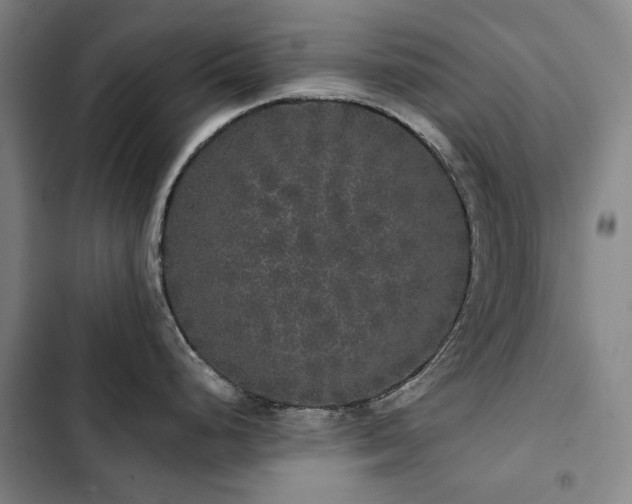 X0000103311248200808291421
