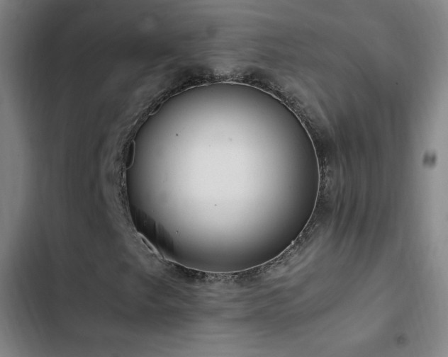 X0000103311249200808291420