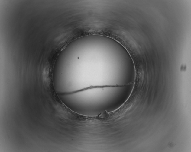 X0000103311250200808291420