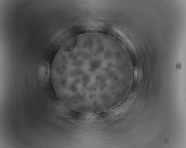 X0000103311251200808291420