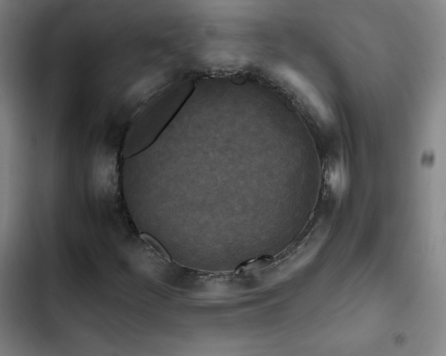 X0000103311252200808291420