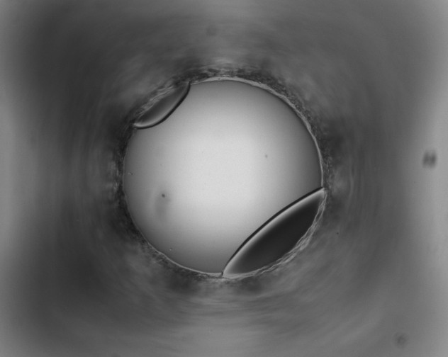 X0000103311253200808291420