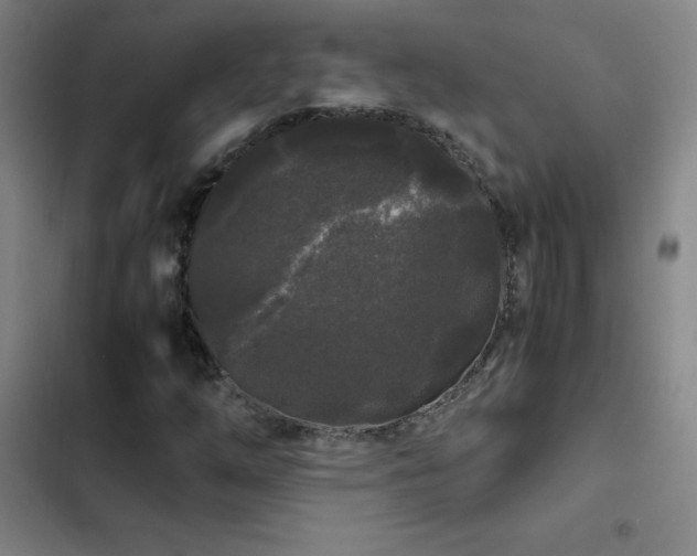 X0000103311254200808291420
