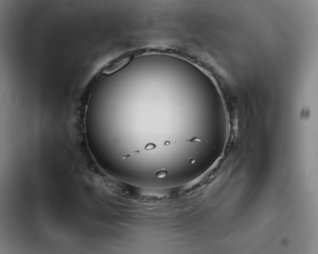 X0000103311256200808291420