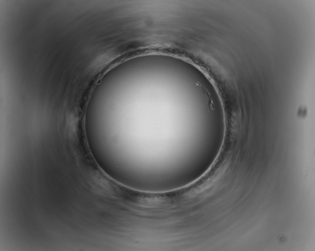X0000103311257200808291420