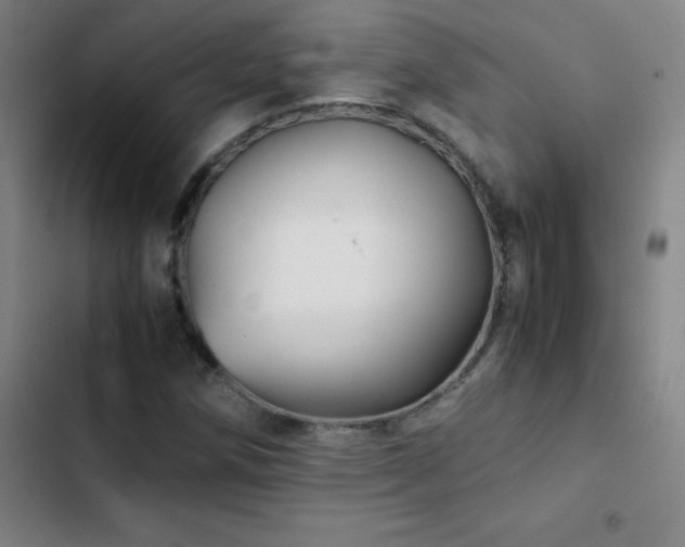 X0000103311258200808291420