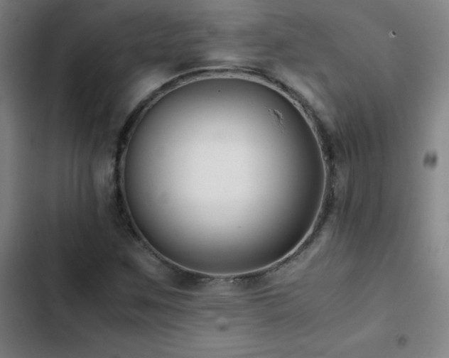 X0000103311259200808291420