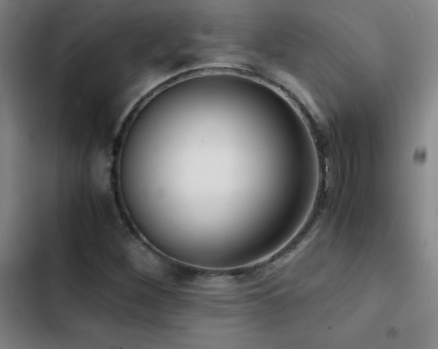 X0000103311260200808291420