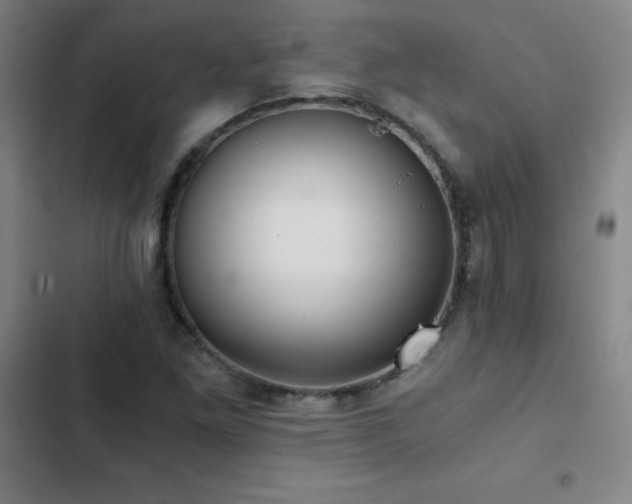X0000103311261200808291420