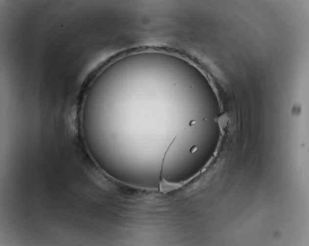X0000103311262200808291420