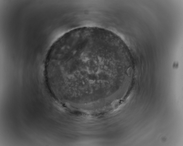 X0000103311263200808291420