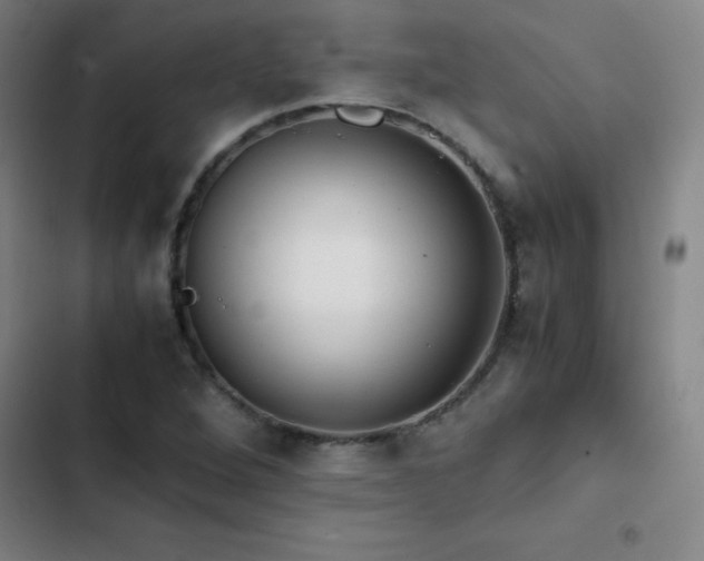 X0000103311264200808291420