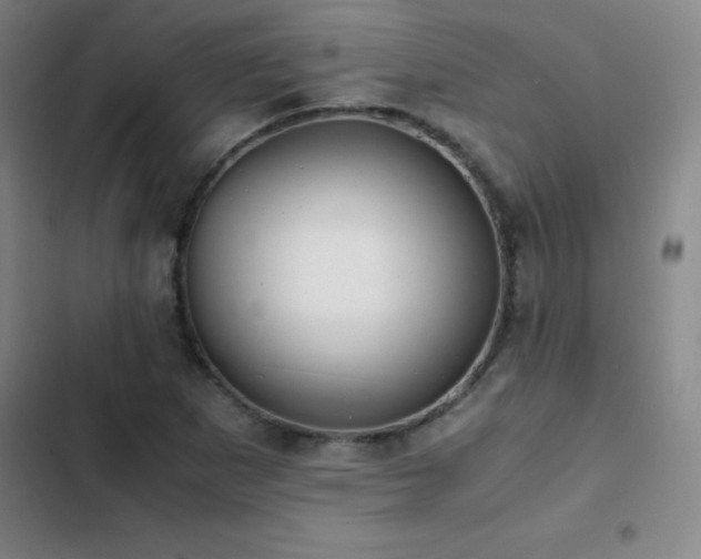 X0000103311265200808291420
