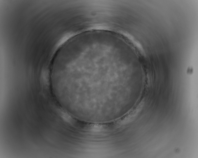 X0000103311266200808291420