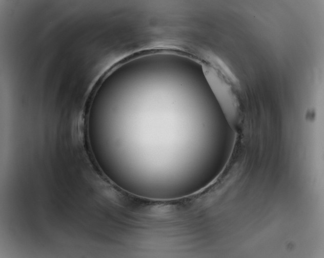 X0000103311268200808291420