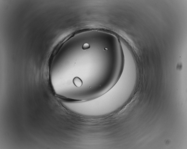 X0000103311269200808291420