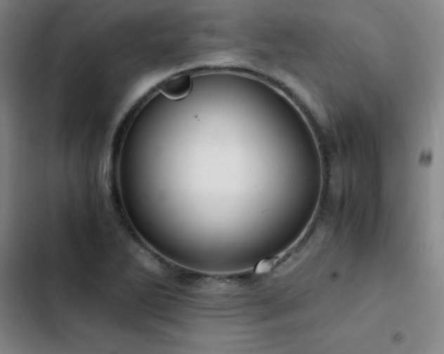 X0000103311270200808291420