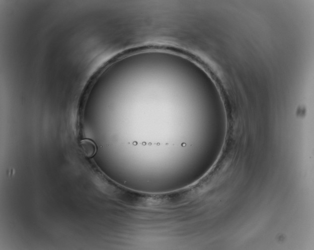 X0000103311271200808291420