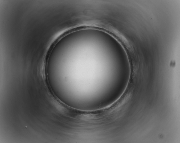 X0000103311272200808291420