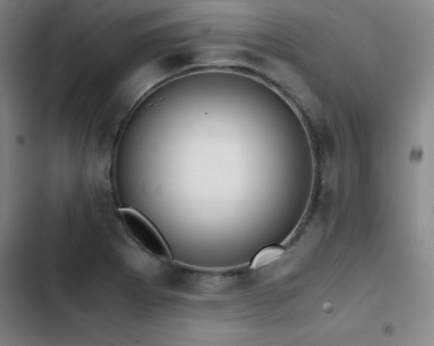 X0000103311273200808291420