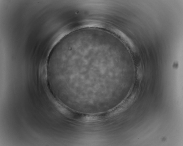 X0000103311274200808291420