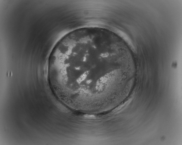 X0000103311275200808291420