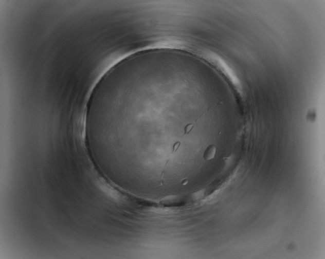 X0000103311276200808291420