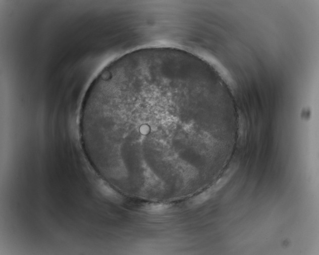 X0000103311278200808291420