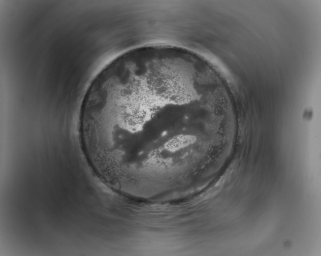 X0000103311279200808291420