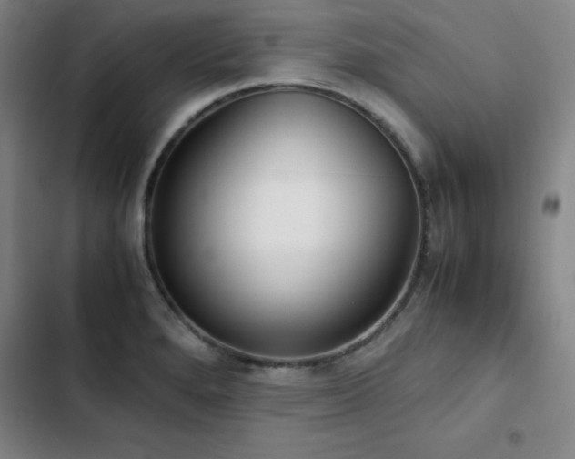 X0000103311280200808291420