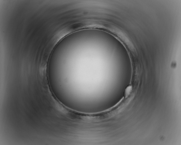 X0000103311281200808291420