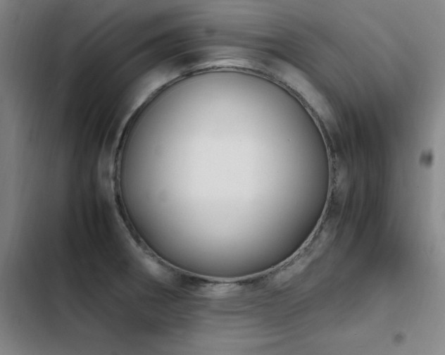 X0000103311282200808291420