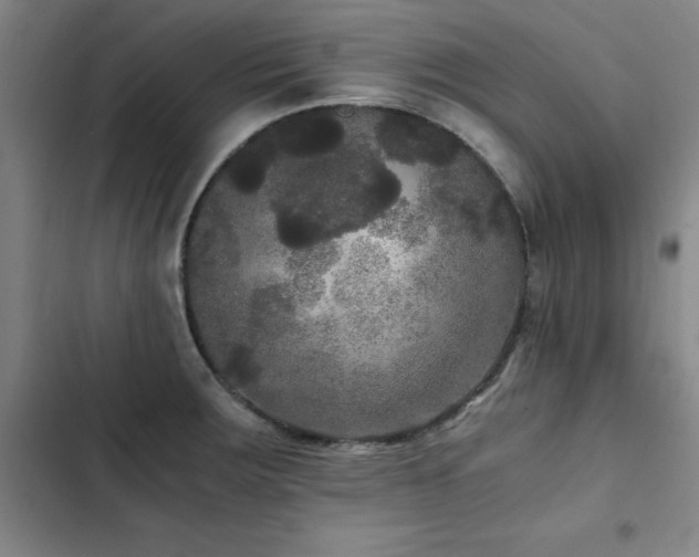 X0000103311283200808291420