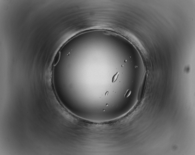 X0000103311284200808291420