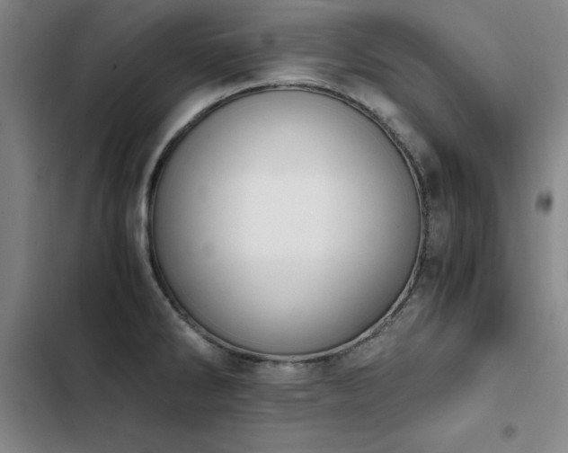 X0000103311286200808291420