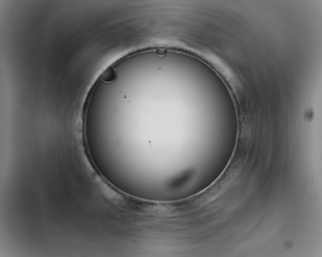 X0000103311287200808291420