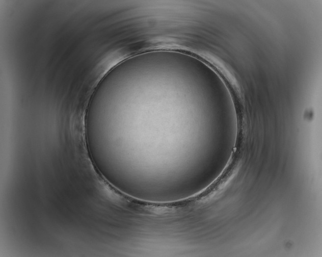 X0000103311289200808291420