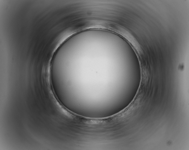 X0000103311290200808291420