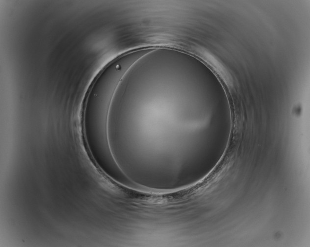X0000103311291200808291420