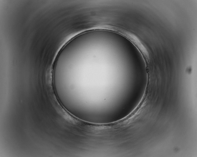 X0000103311292200808291420
