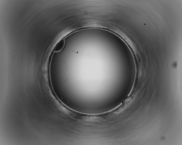 X0000103311293200808291420
