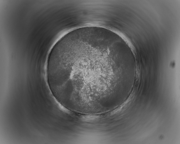 X0000103311294200808291420