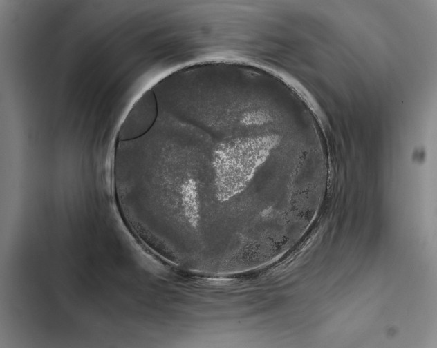 X0000103311295200808291420