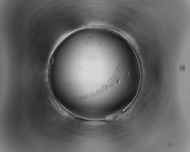 X0000103311296200808291420