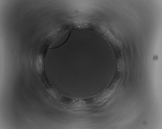 X0000103311298200808291419