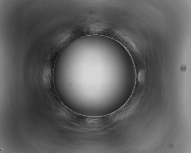 X0000103311299200808291419